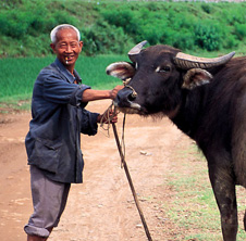 小型飼料顆粒機,農民圓夢！